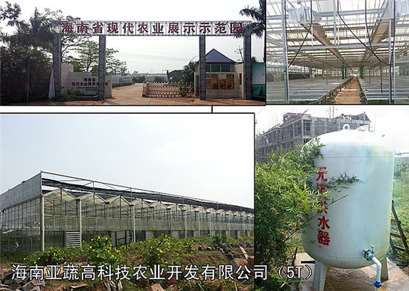 海南亞蔬高科技農業開發有限公司（5TX1）