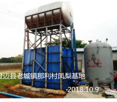 澄邁縣老城鎮那利村鳳梨基地